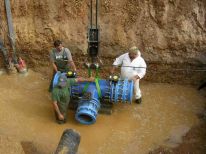 Haga click para ampliar la imagen